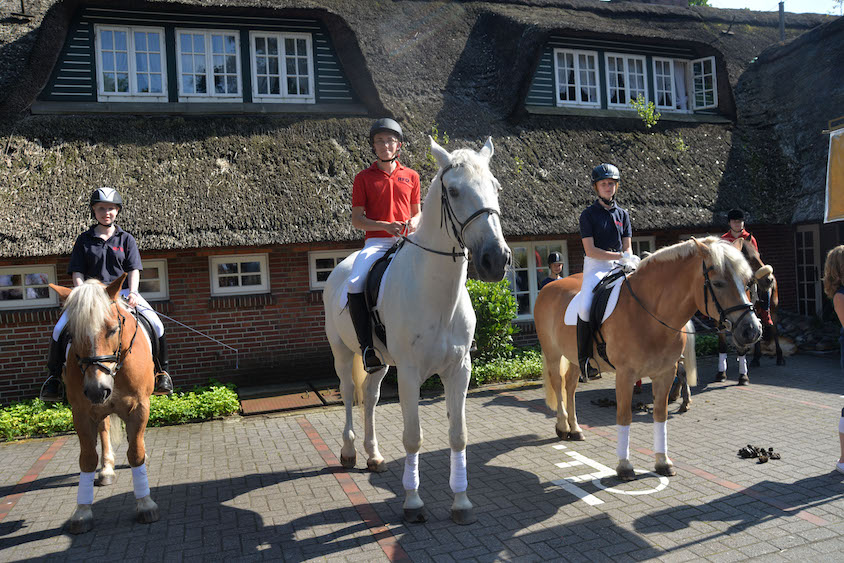 Fokkis Weidenfest 2016