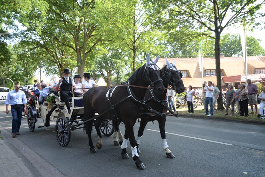 Fokkis Weidenfest 2017