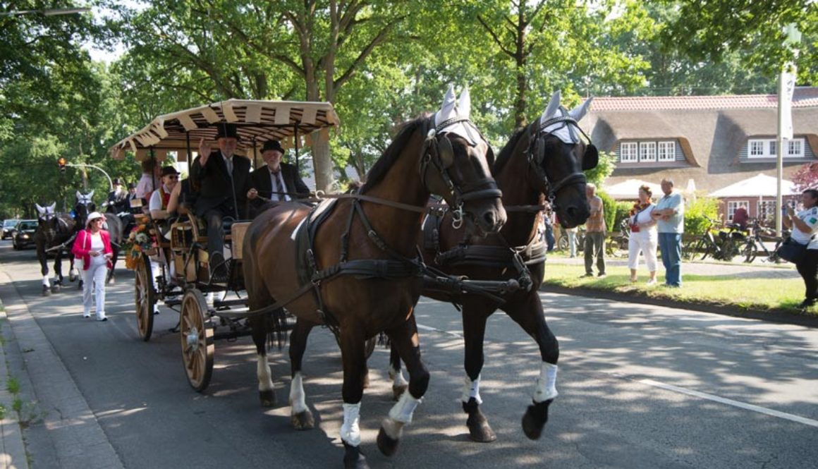 Fokkis Weidenfest 2018 am Bümmersteder Krug.