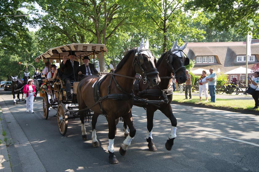 Fokkis Weidenfest 2018 am Bümmersteder Krug