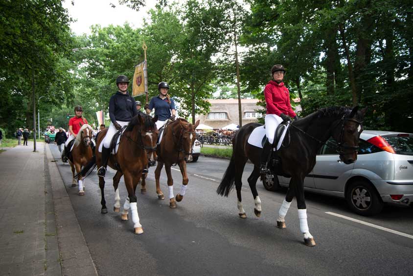 Fokkis Weidenfest 2019 in Bümmerstede.