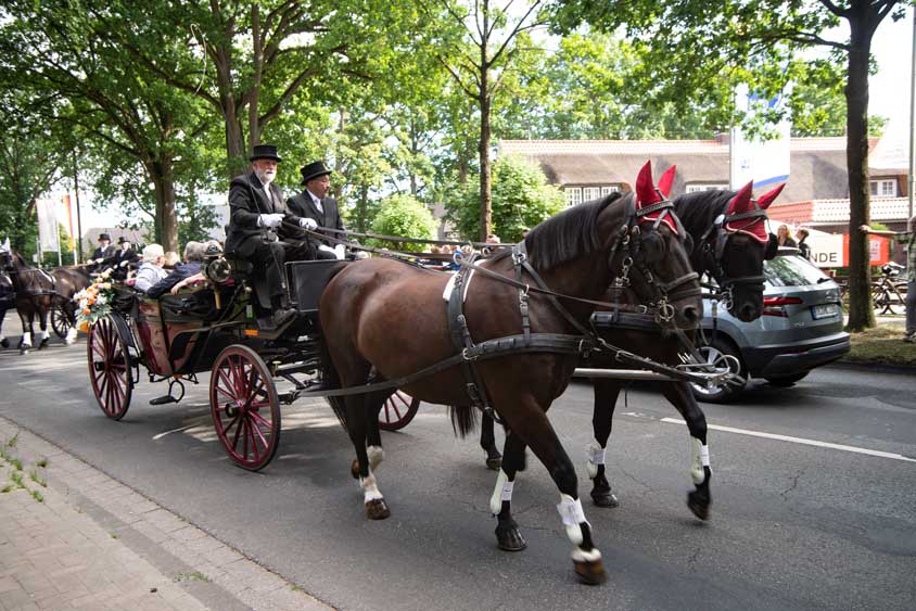 Fokkis Weidenfest 2019 in Bümmerstede.